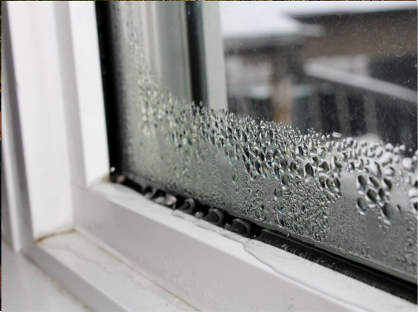 Moist window in Kings of Prussia